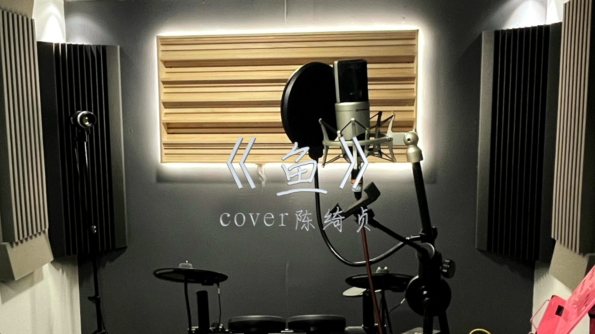 鱼陈绮贞mp3下载(鱼陈绮贞mp3百度云)